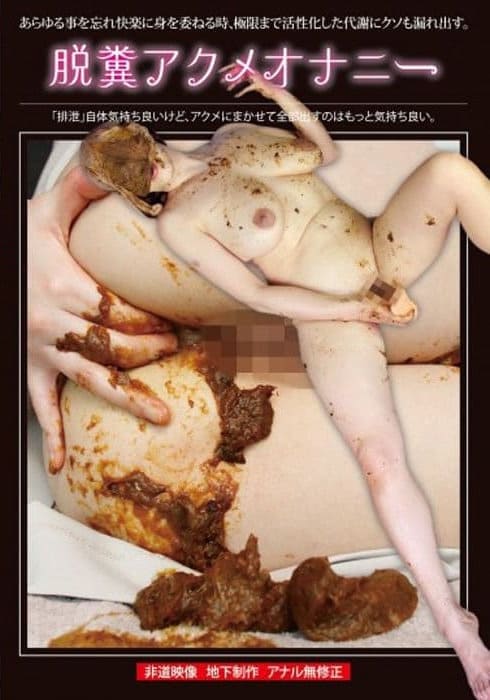 DVDサンプル画像